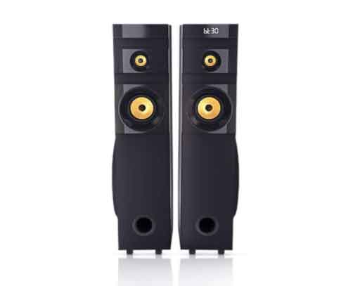 6.Philips Audio Tower Speaker SPA1100/94, 100W
