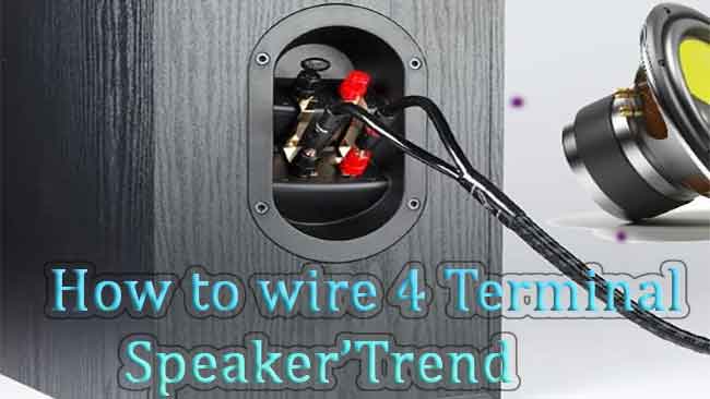 how to wire 4 terminals with speaker